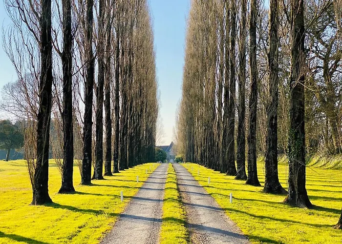 Pensión Le Chateau De La Roque 3*